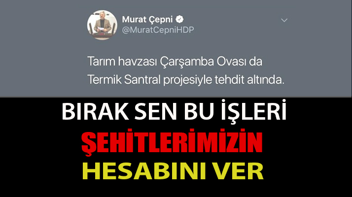 HDP’Lİ VEKİL KARIŞTIRDI!