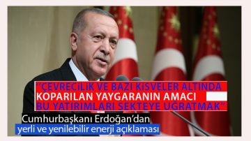 Erdoğan’dan Yerli Ve Yenilebilir Enerji Desteği